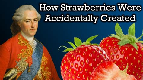 Strawberry magical elixir